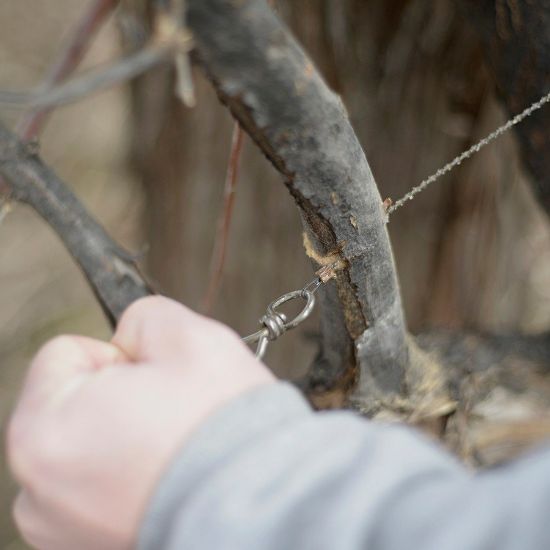Picture of FRENCH WIRE SAW