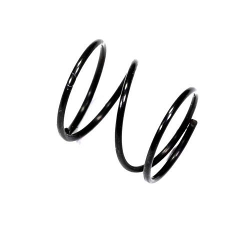 Picture of POLISH PALLAD 40MM SPRING FOR REAR SIGHT