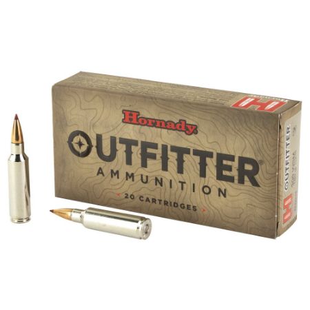 Picture of HORNADY OUTFITTER .300WSM 180GR CX, 20RD/BOX