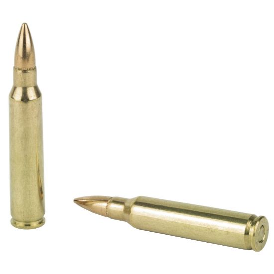 Picture of PMC 223 REM 55GR FMJ, 20RD/BOX