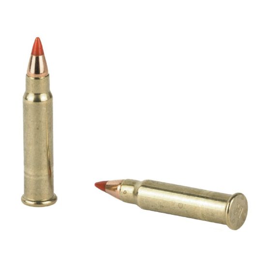 Picture of HORNADY VARMINT EXPRESS 17HMR 17GR V-MAX, 50RD/BOX