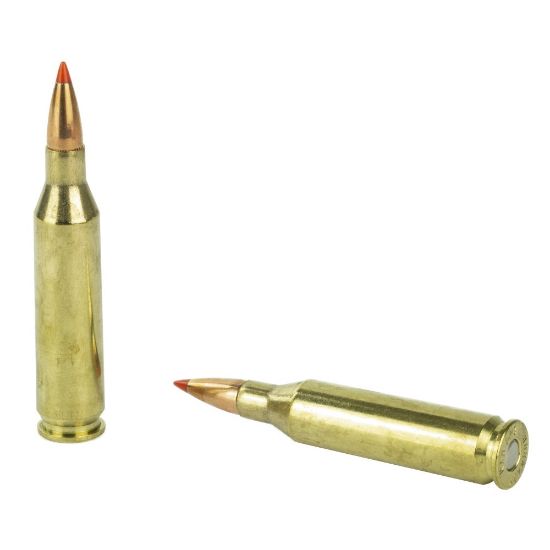 Picture of HORNADY SUPERFORMANCE 243 WIN 95GR SST, 20RD/BOX