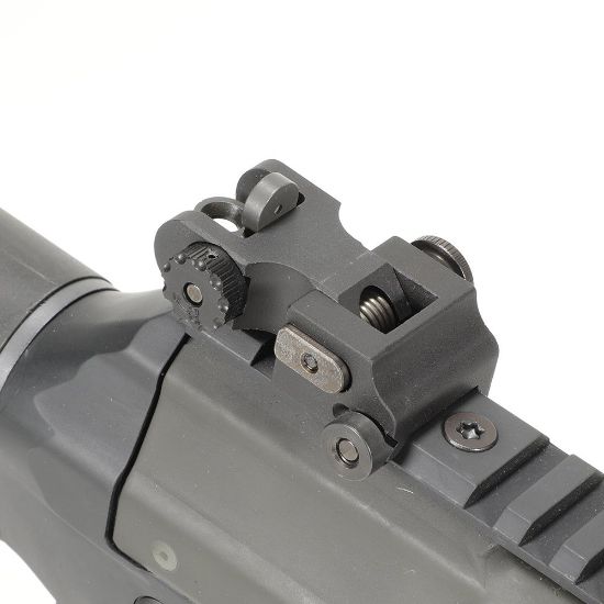 Picture of SAMSON QUICK FLIP FOLDING SIGHT SET FOR SIG 556/556R AND 522LR, SIG (A2)