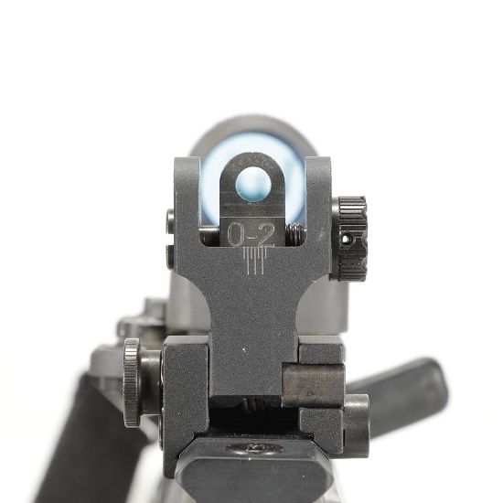 Picture of SAMSON QUICK FLIP FOLDING SIGHT SET FOR SIG 556/556R AND 522LR, SIG (HK)