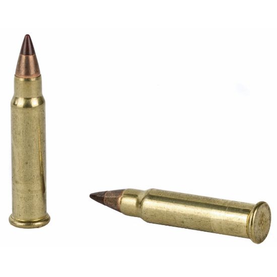 Picture of HORNADY VARMINT EXPRESS 17HMR 15.5GR NTX, 50RD/BOX