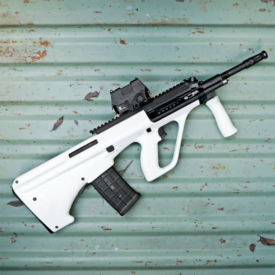 Picture of CAN COMBO FOR STEYR AUG, TWENTY AUG 5.56x45MM 30RD WINDOW MAGS W/ ONE AC AMMO CAN, AC-UNITY