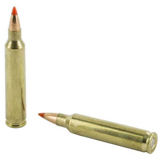 Picture of HORNADY SUPERFORMANCE 204 RUGER 32GR V-MAX, 20RD/BOX