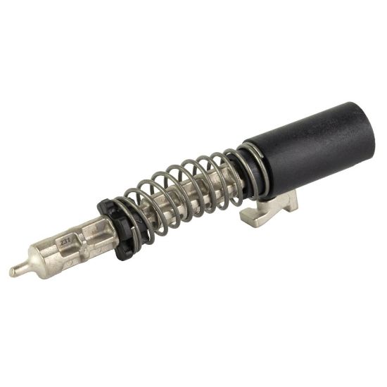 Picture of SIG OEM P365 SLIDE COMPLETION KIT