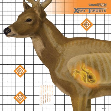Picture of CHAMPION DEER X-RAY 25x25" TARGETS, 6-PACK