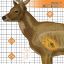 Picture of CHAMPION DEER X-RAY 25x25" TARGETS, 6-PACK