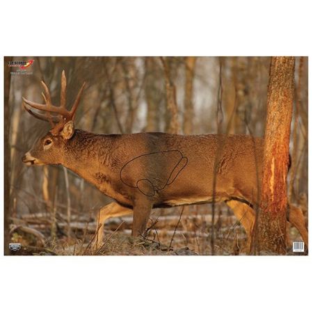 Picture of BIRCHWOOD CASEY EZE-SCORER WHITETAIL DEER 23x35" TARGETS, 2-PACK