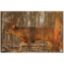 Picture of BIRCHWOOD CASEY EZE-SCORER WHITETAIL DEER 23x35" TARGETS, 2-PACK