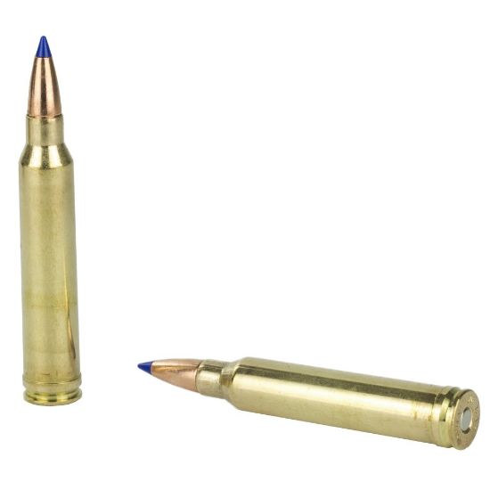 Picture of BARNES 300 WIN MAG 165GR TTSX BT, 20RD BOX