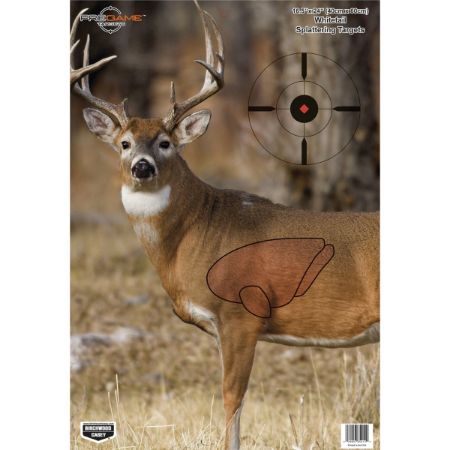 Picture of BIRCHWOOD CASEY PREGAME TARGET WITH VISIBLE VITALS, WHITETAIL DEER, 16.5x24, 3-PACK