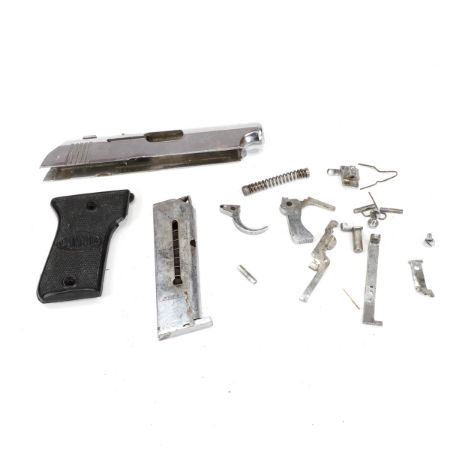 Picture of DICKSON SPECIAL AGENT 32ACP NICKEL PARTS KIT W/ MAG
