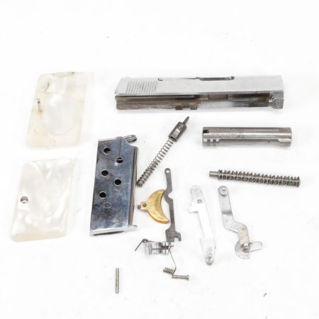 Picture of BABY BROWNING 25ACP PARTS KIT WITH MAG & PEARL-LIKE GRIPS