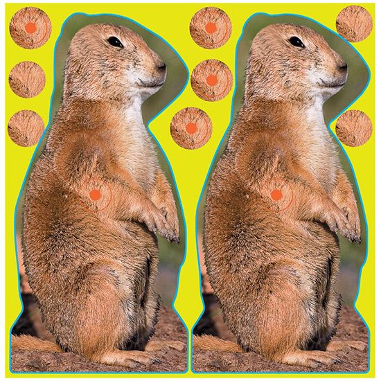 Birchwood Casey, Shoot-N-C, Prairie Chuck, 8" Targets, 12-Pack, 029057347869, GER-BC-34786, RTG Parts