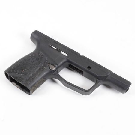 Picture of RUGER MAX-9 GRIP MODULE USED