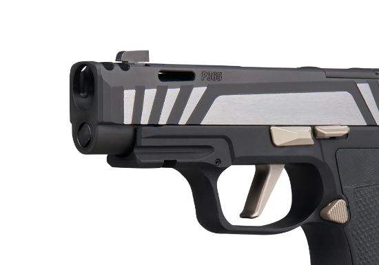 Sig Sauer, P365-AXG EQUINOX, Semi-automatic, Striker Fired, Metal Frame Pistol, Micro Compact, 9MM, 3.1" Barrel, Two Port Integrated Expansion Chamber, Nitron Finish, Black, AXG Grip Module, G10 Grips, X-RAY3 Day/Night Sights, 3 x 12rd Magazines, 798681740741, FFL-SIG-365AXG-9-COMP-EQ, RTG Parts
