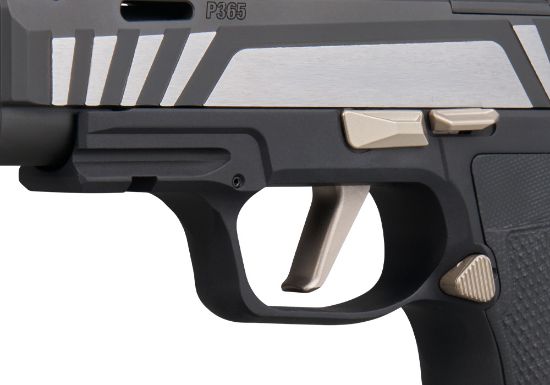 Sig Sauer, P365-AXG EQUINOX, Semi-automatic, Striker Fired, Metal Frame Pistol, Micro Compact, 9MM, 3.1" Barrel, Two Port Integrated Expansion Chamber, Nitron Finish, Black, AXG Grip Module, G10 Grips, X-RAY3 Day/Night Sights, 3 x 12rd Magazines, 798681740741, FFL-SIG-365AXG-9-COMP-EQ, RTG Parts